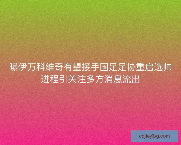 曝伊万科维奇有望接手国足足协重启选帅进程引关注多方消息流出